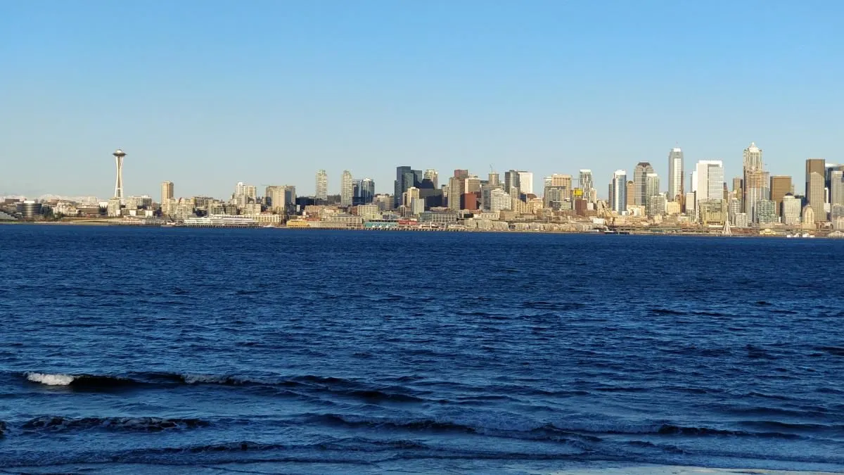 Business 3 image ALKI CAFE