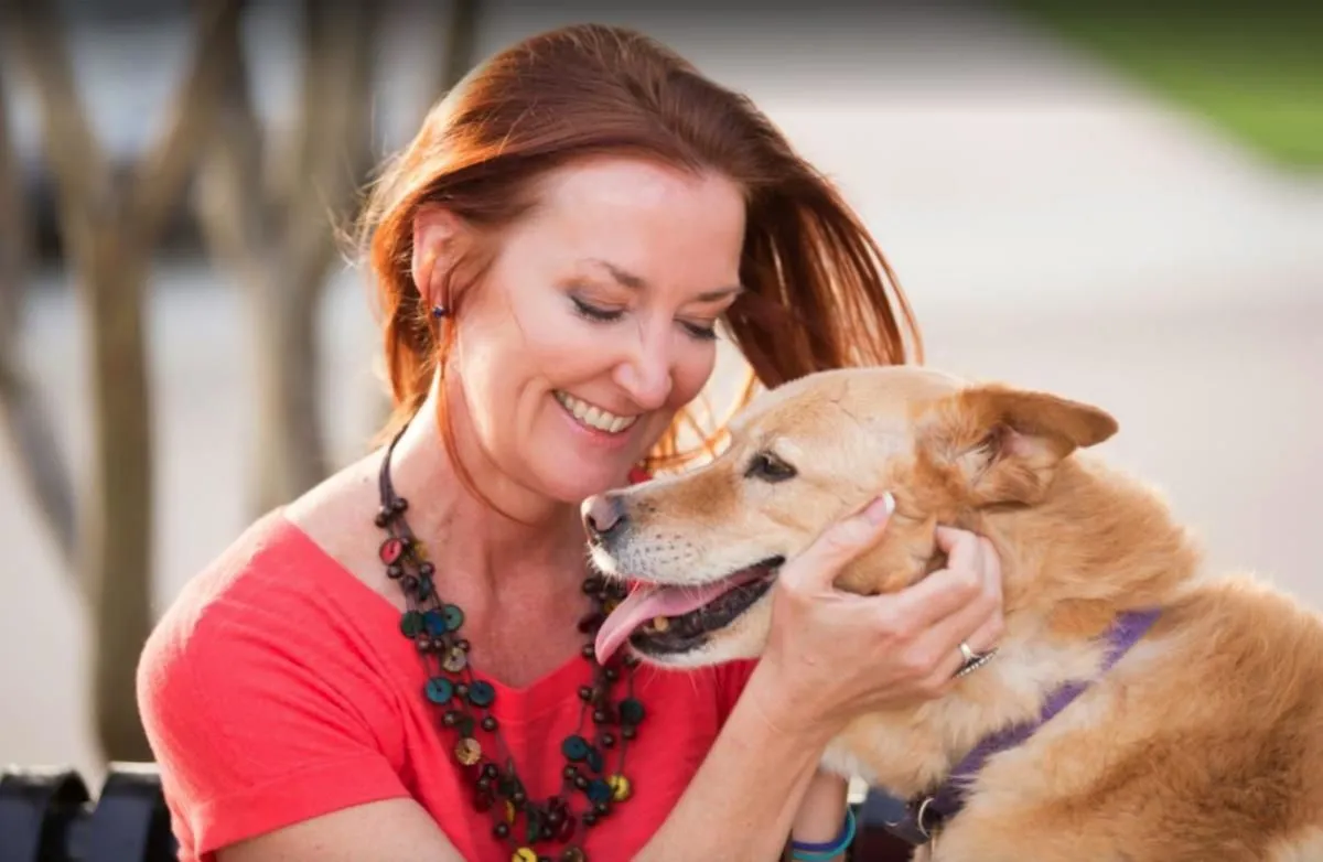 Business 10 image VIP PET SERVICE