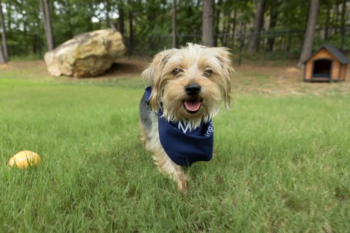 Business 15 image CAMDEN STOCKBRIDGE APARTMENTS