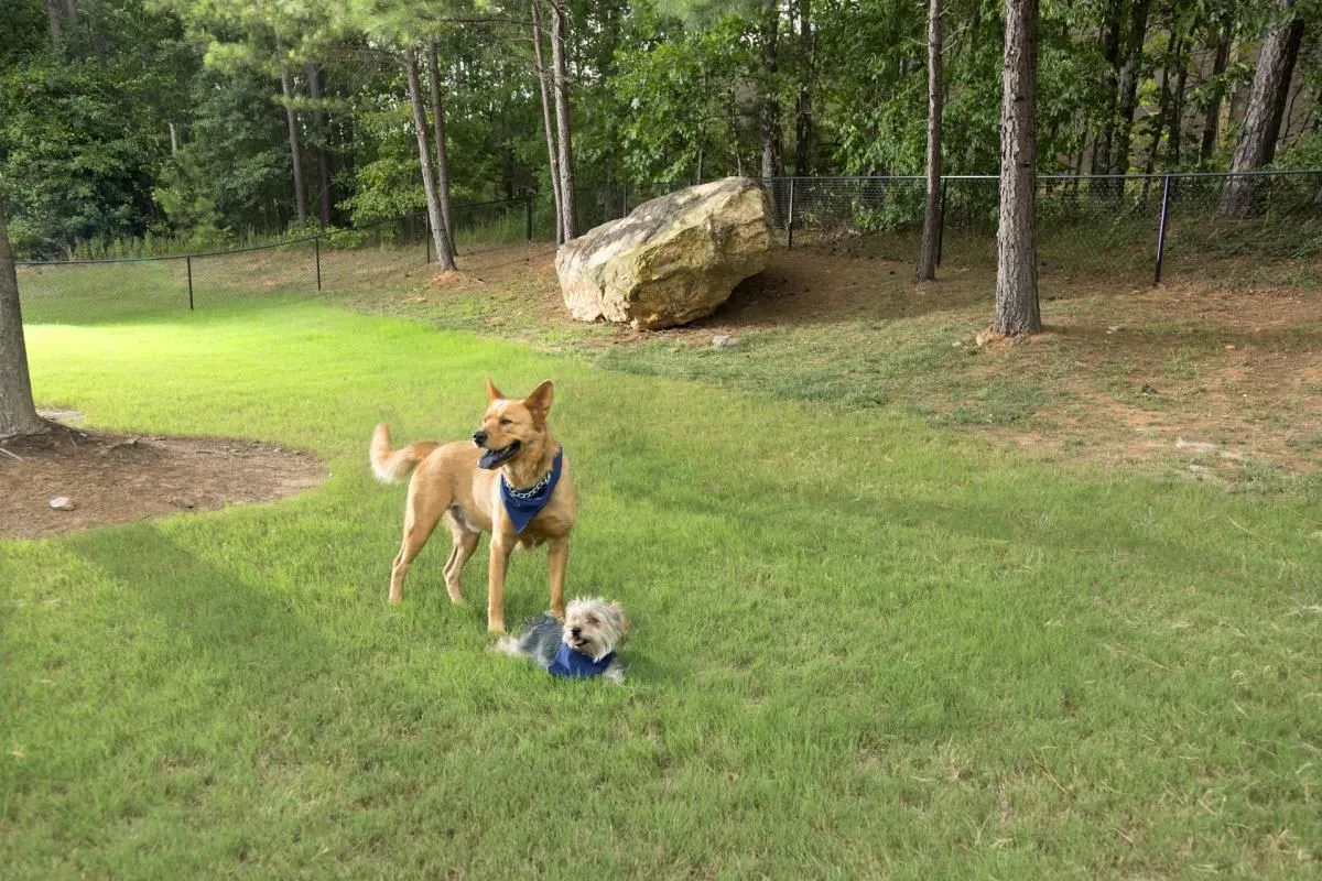 Business 19 image CAMDEN STOCKBRIDGE APARTMENTS