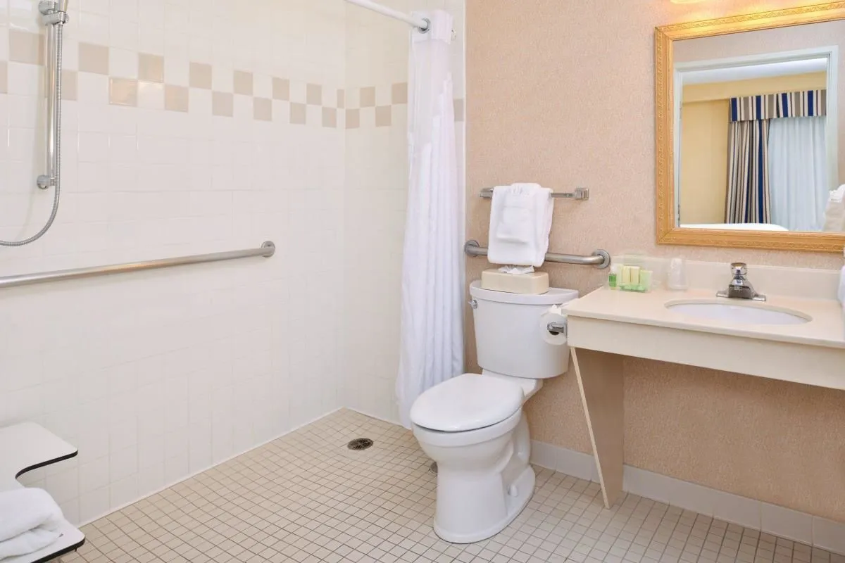 Business 49 image HOLIDAY INN & SUITES CHICAGO-DOWNTOWN, AN IHG HOTEL