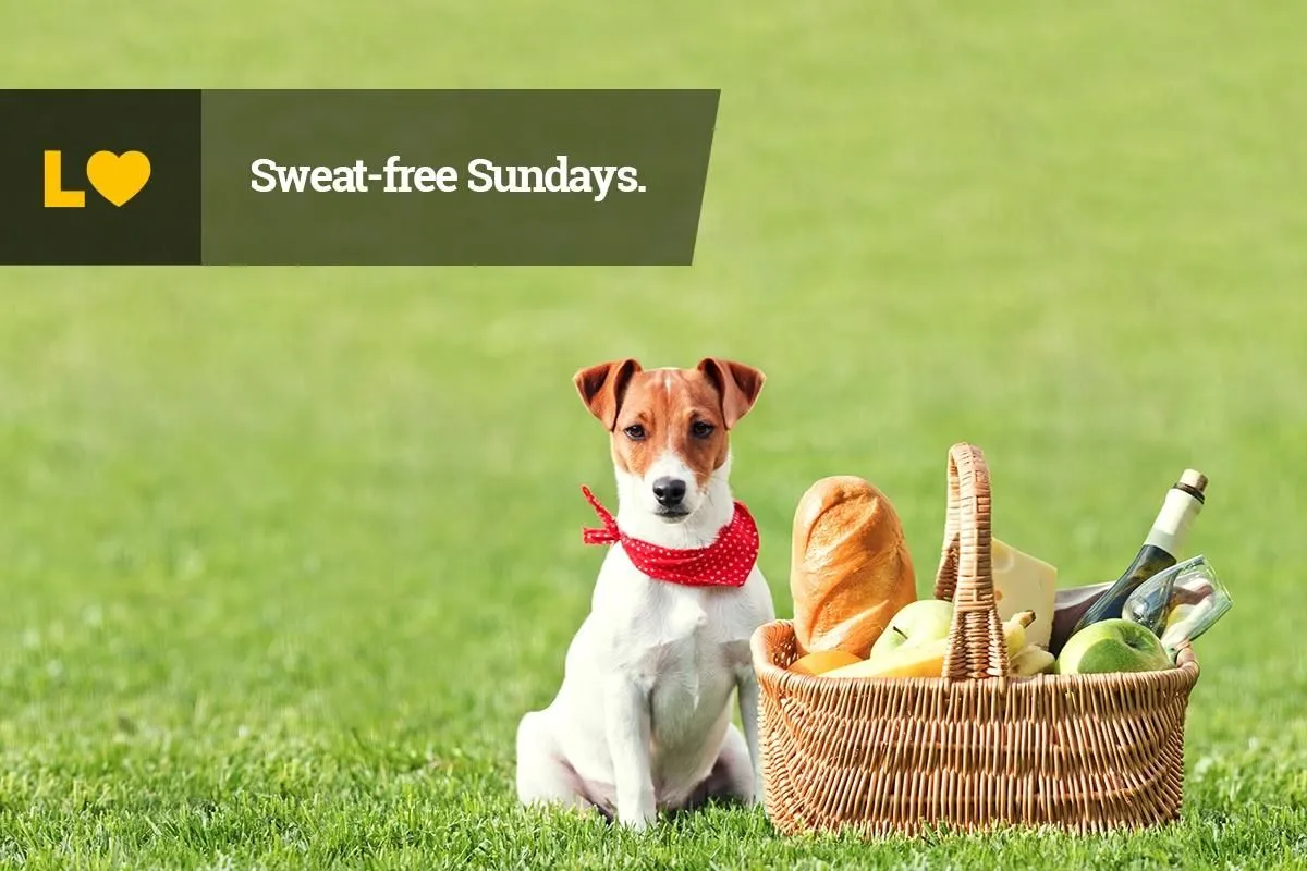 Business 4 image LAWN LOVE LAWN CARE OF OKLAHOMA CITY