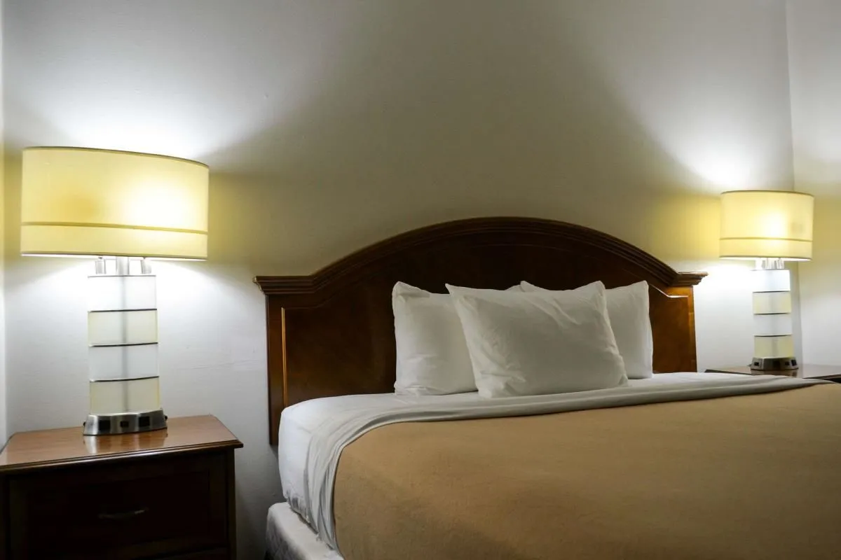 Business 20 image RODEWAY INN & SUITES