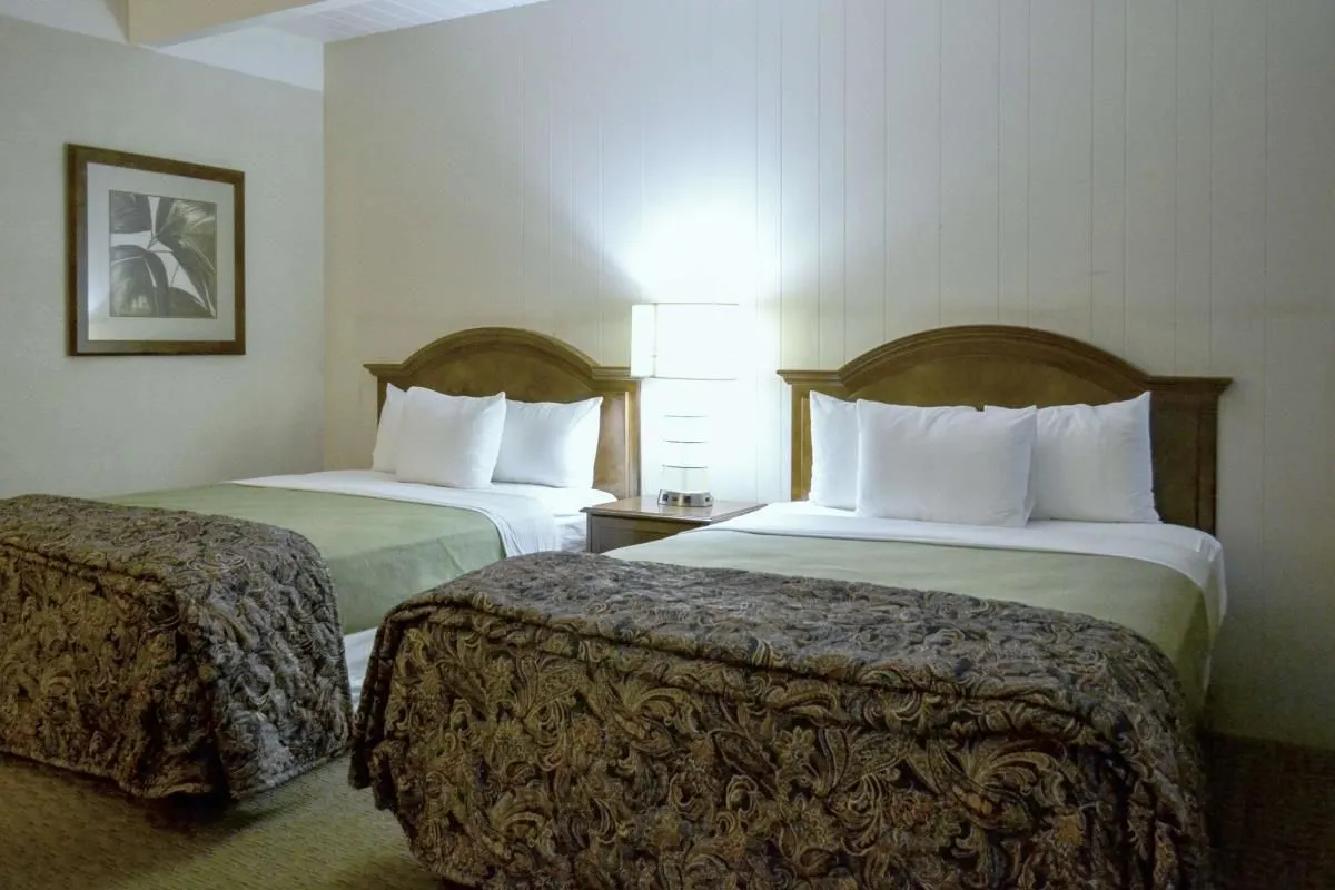 Business 23 image RODEWAY INN & SUITES