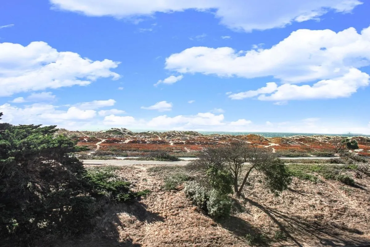 Business 32 image RODEWAY INN & SUITES