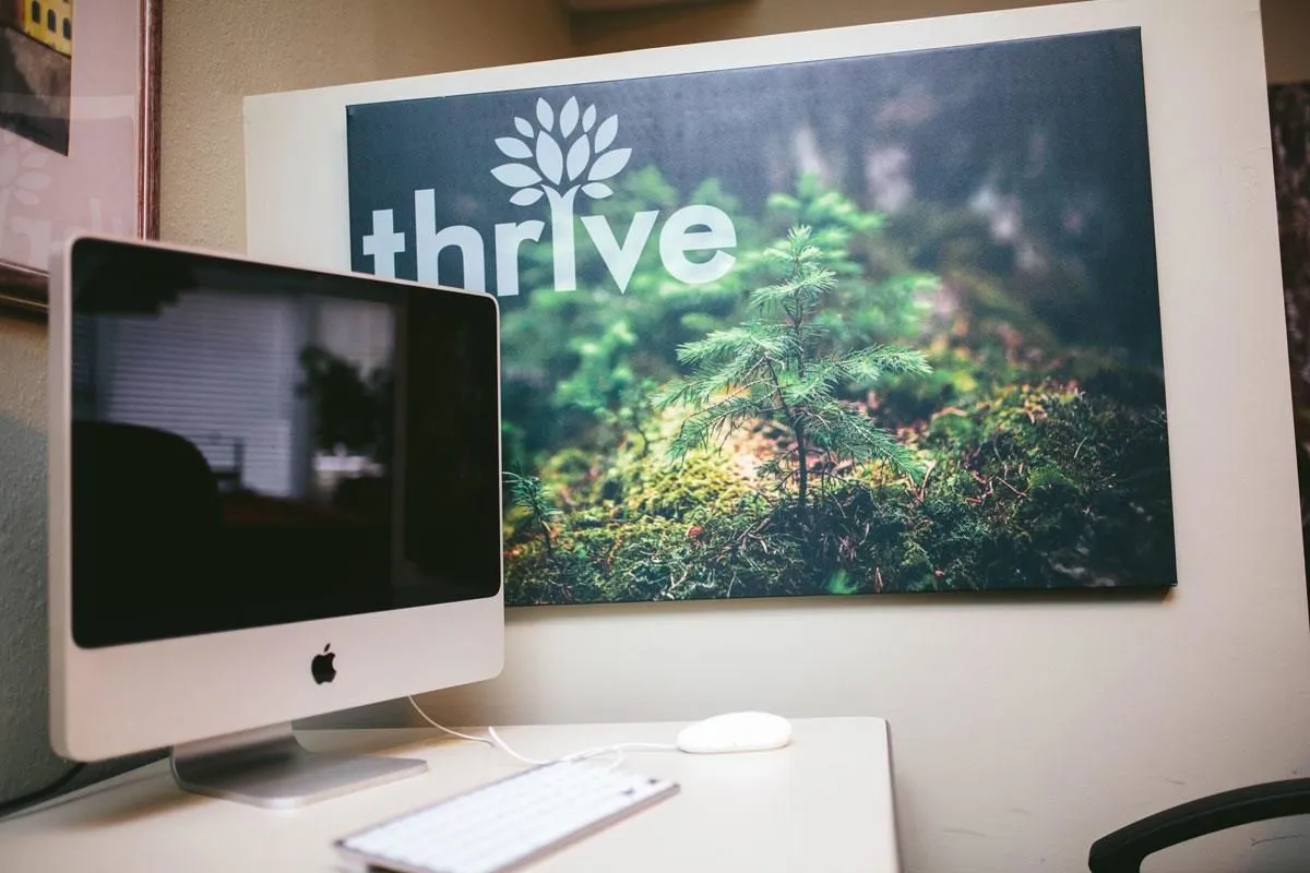 Business 3 image THRIVE INTERNET MARKETING AGENCY