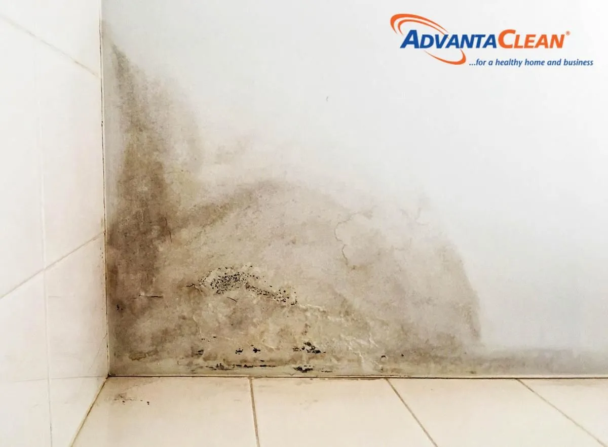 Business 3 image ADVANTACLEAN OF SOUTHWEST MINNEAPOLIS