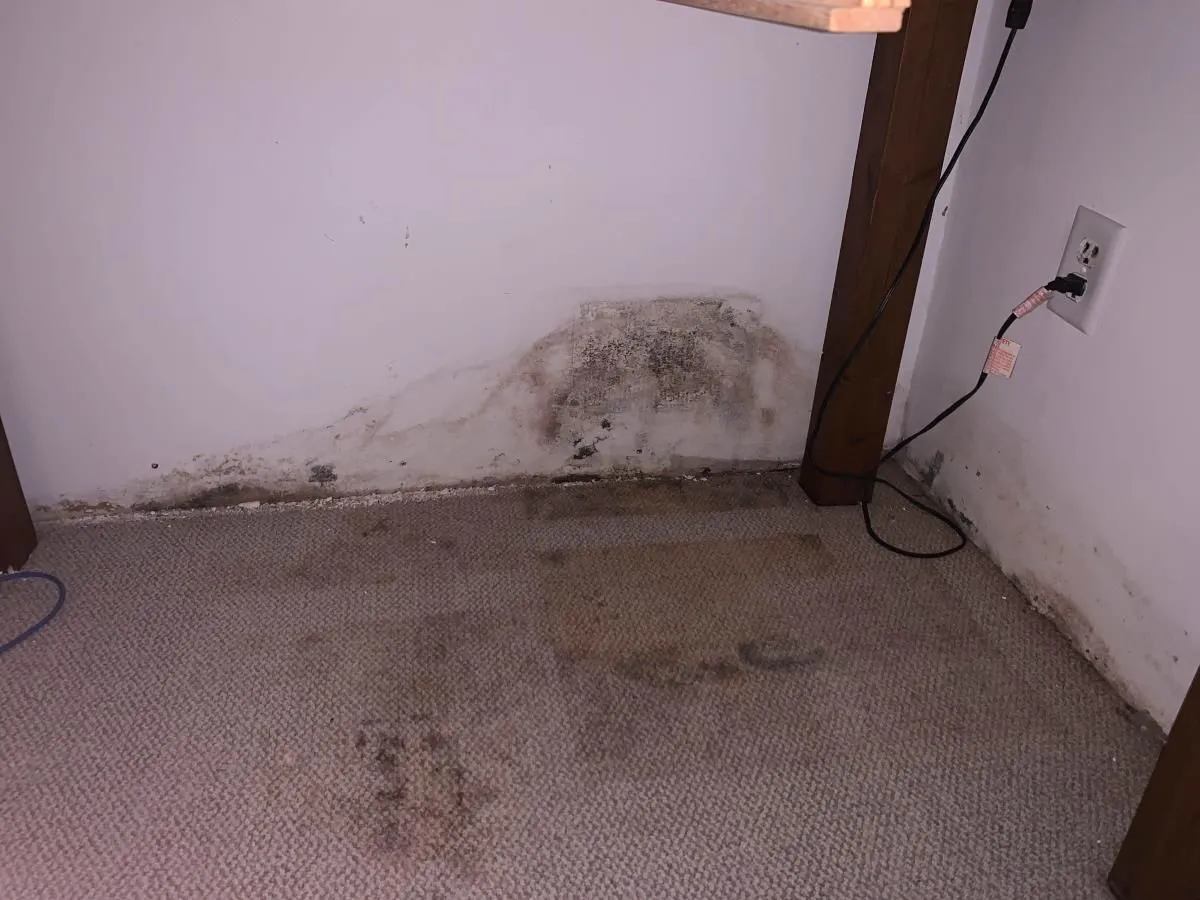 Business 14 image ADVANTACLEAN OF SOUTHWEST MINNEAPOLIS