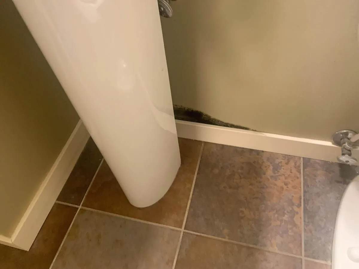Business 15 image ADVANTACLEAN OF SOUTHWEST MINNEAPOLIS
