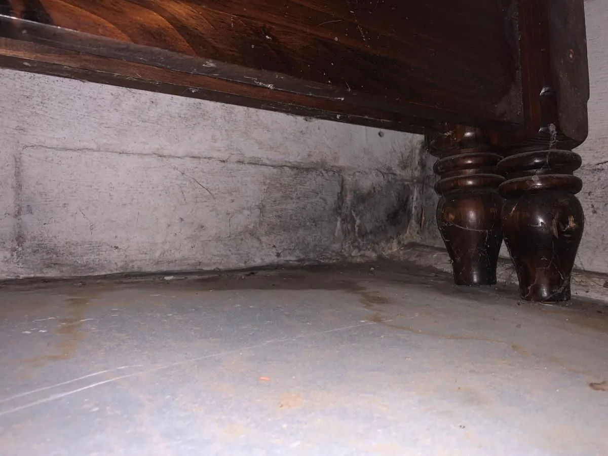 Business 23 image ADVANTACLEAN OF SOUTHWEST MINNEAPOLIS