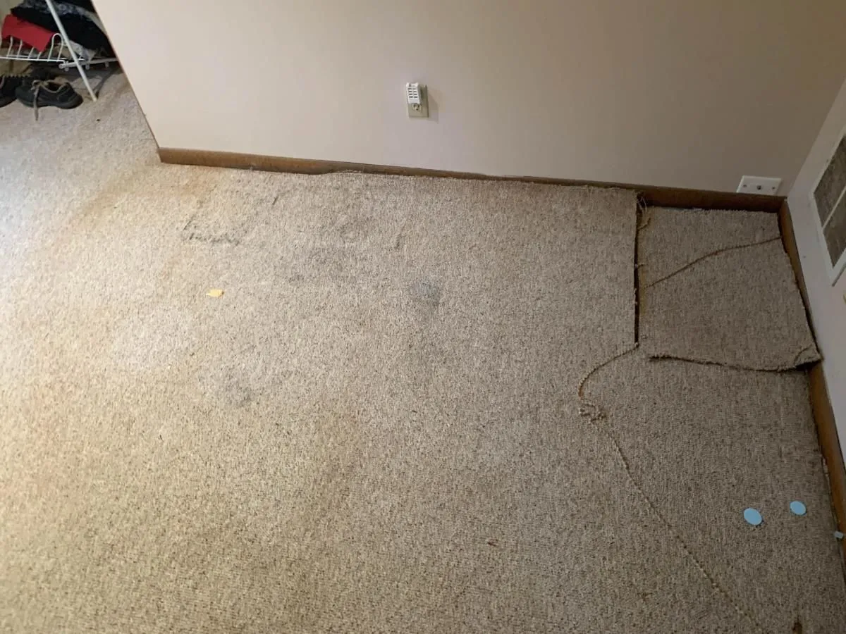 Business 24 image ADVANTACLEAN OF SOUTHWEST MINNEAPOLIS