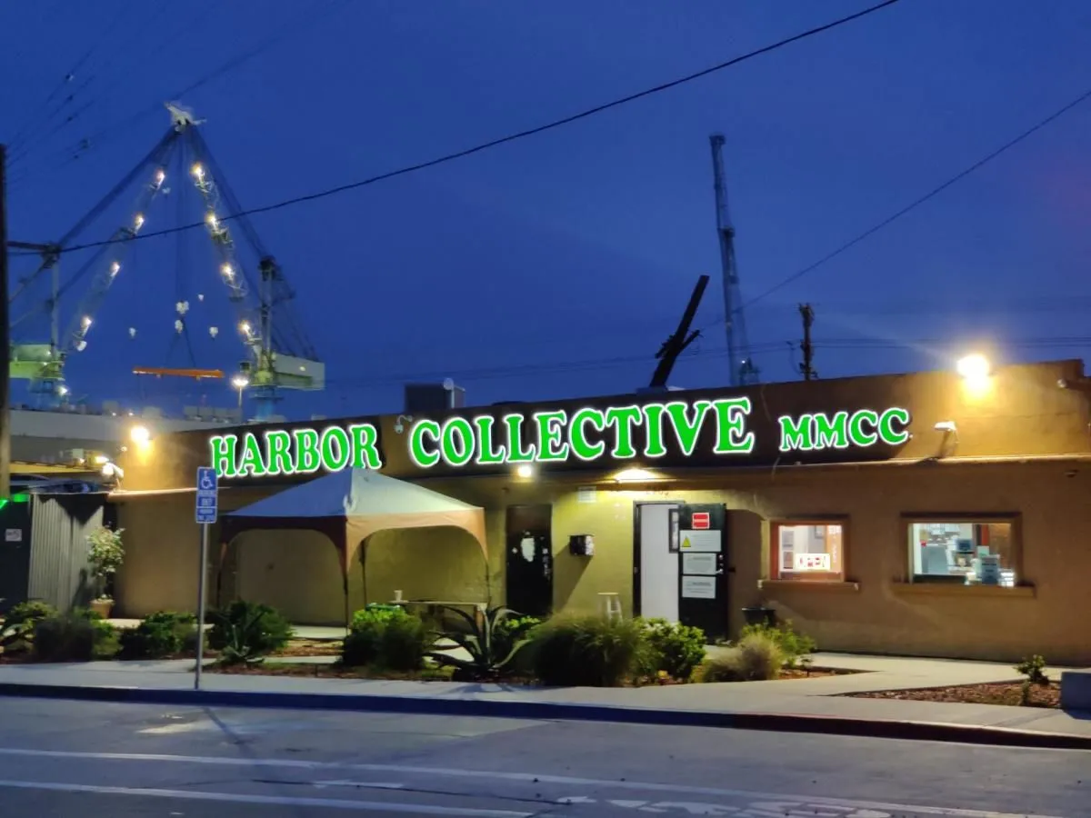 Business 5 image HARBOR COLLECTIVE