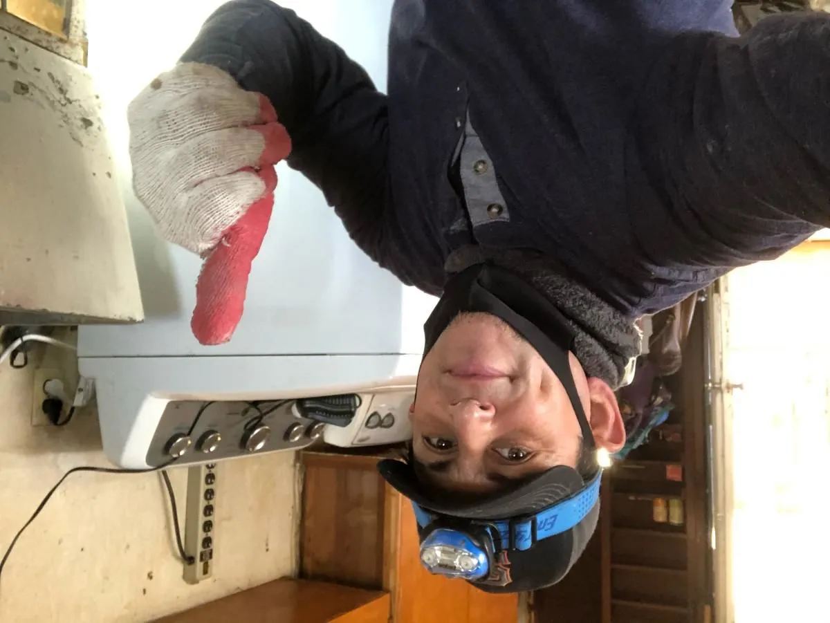 Business 22 image RAPID RODENT REMOVAL