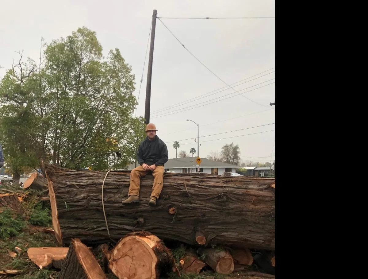 Business 1 image TRUWOOD BUILDERS LLC