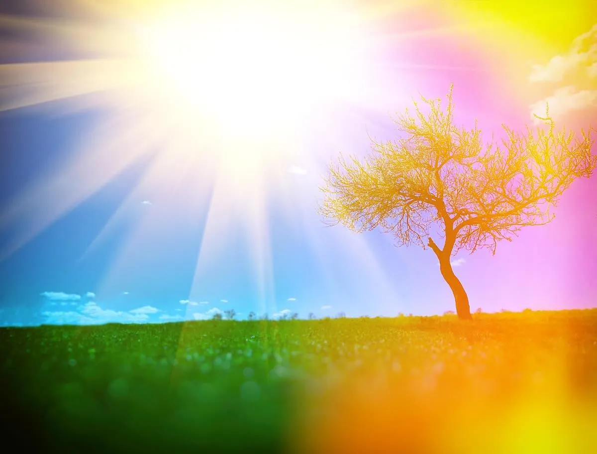 Business 21 image READY AND WILLING MINISTRIES