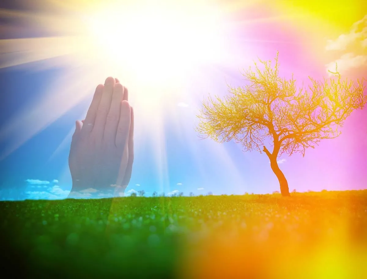 Business 31 image READY AND WILLING MINISTRIES