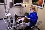 Business 1 image FOREST PARK DENTAL STUDIO