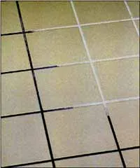 Business 4 image EASY CLEAN CARPET CARE