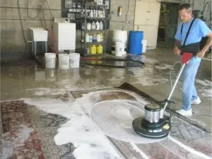 Business 4 image MERRY RUG & CARPET CLEANERS