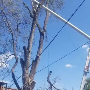 Business 8 image ALLEN CONSTRUCTION AND TREE SERVICE, LLC