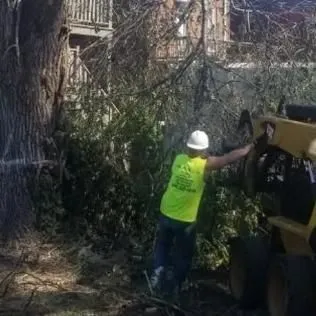 Business 12 image ALLEN CONSTRUCTION AND TREE SERVICE, LLC