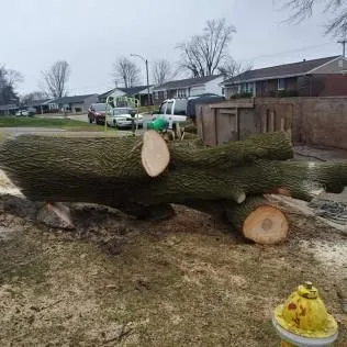 Business 15 image ALLEN CONSTRUCTION AND TREE SERVICE, LLC