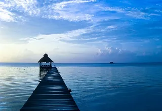 Business 5 image FORENSIC ACCOUNTING