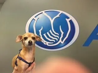 Business 4 image GEORGE CARRANZA: ALLSTATE INSURANCE