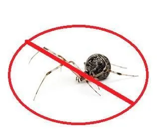 Business 1 image APEX PEST ELIMINATION