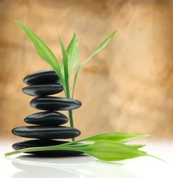 Business 1 image METROPLEX THERAPEUTIC MASSAGE