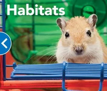 Business 2 image PETSMART