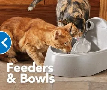 Business 9 image PETSMART
