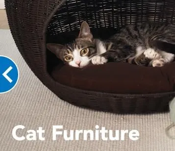 Business 5 image PETSMART