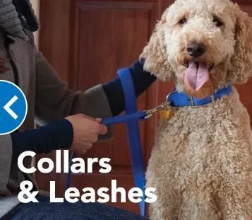 Business 4 image PETSMART