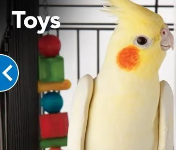 Business 8 image PETSMART
