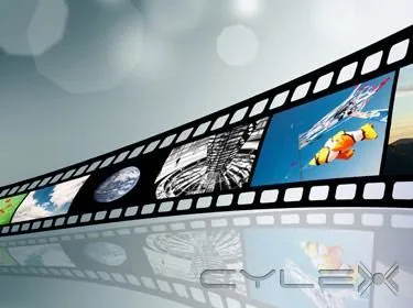 Business 1 image 7STORMS