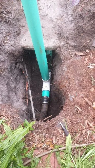 Business 1 image DRAIN GENIE PLUMBING SERVICES