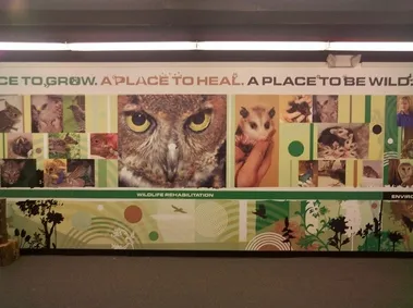 Business 1 image WILDLIFE REHAB & EDUCATION CENTER
