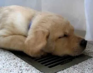 Business 5 image GRIFFITH ENERGY SERVICES, INC.