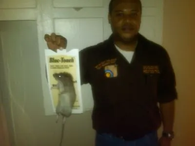 Business 4 image DC CLEANEX PEST CONTROL