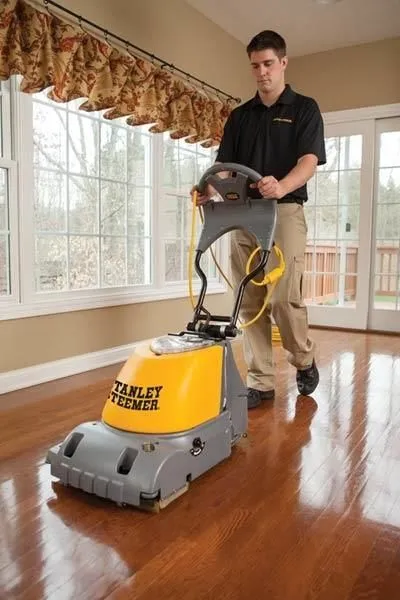 Business 1 image STANLEY STEEMER