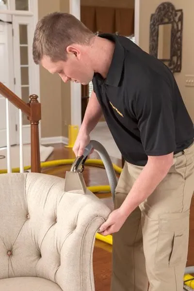 Business 52 image STANLEY STEEMER