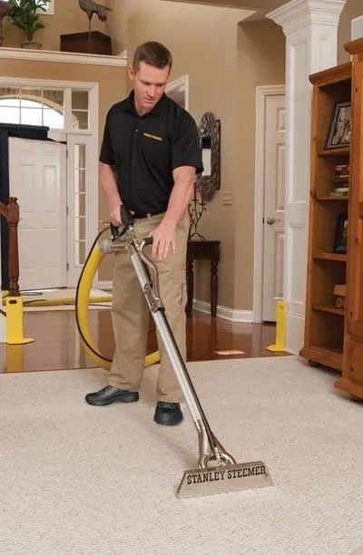 Business 3 image STANLEY STEEMER