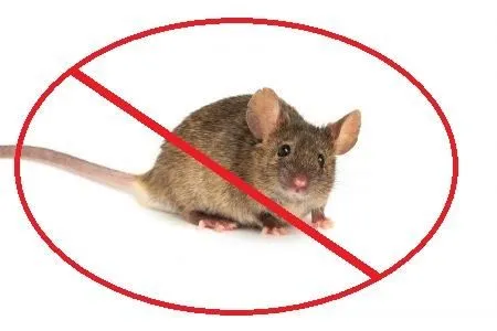 Business 2 image APEX PEST ELIMINATION