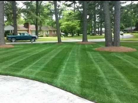 Business 1 image WEED FREE LAWNS