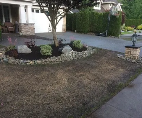 Business 5 image GREEN DAY LANDSCAPE