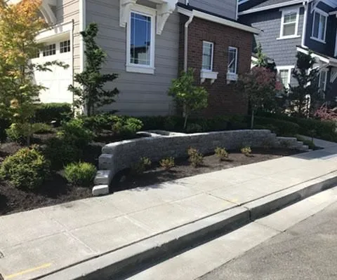 Business 7 image GREEN DAY LANDSCAPE