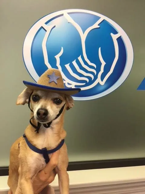 Business 9 image GEORGE CARRANZA: ALLSTATE INSURANCE
