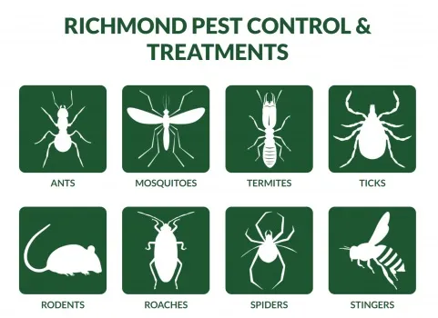 Business 3 image PEST SOLUTIONS, INC.