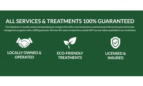 Business 1 image PEST SOLUTIONS, INC.